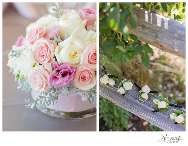 Cinnabar Hills Golf Club Wedding San Jose photographer pink white dog