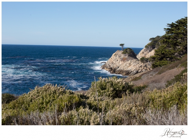 Carmel Monterrey Pacific Grove lighthouse point lobos engagement session carmel wedding photographer