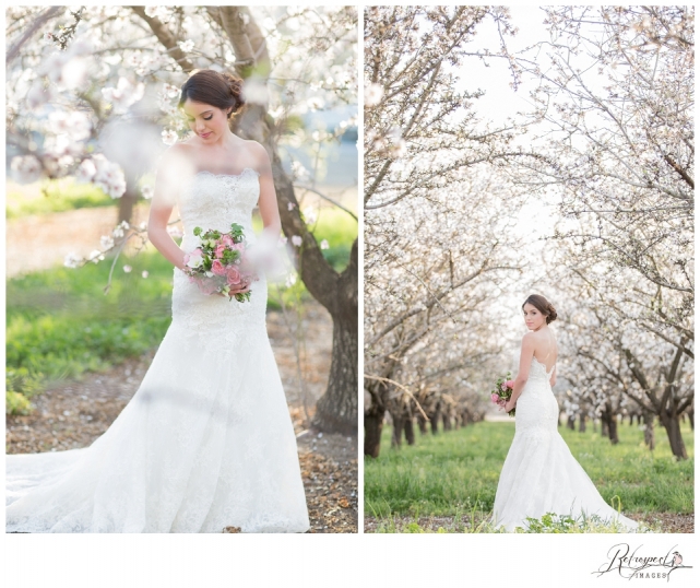 Spring bridal portraits vintage lace wedding gown blossom orchard california wedding photography