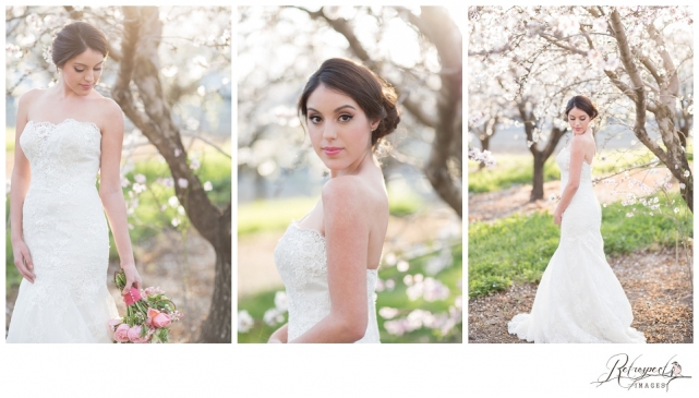 Spring bridal portraits vintage lace wedding gown blossom orchard california wedding photography