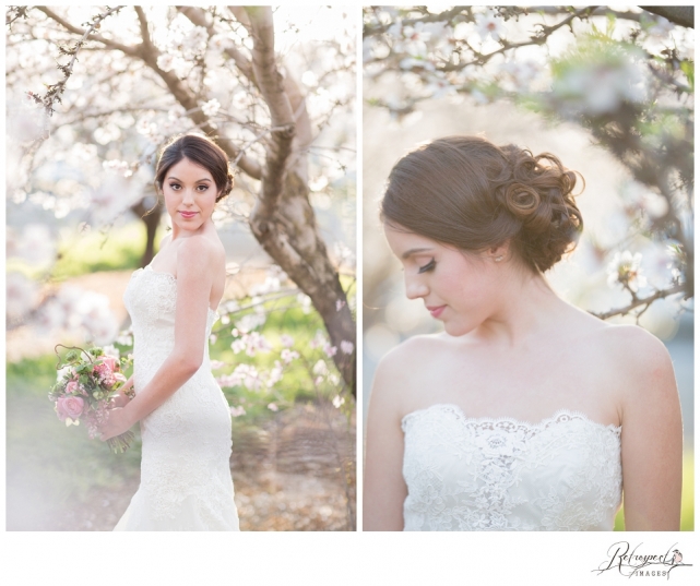 Spring bridal portraits vintage lace wedding gown blossom orchard california wedding photography