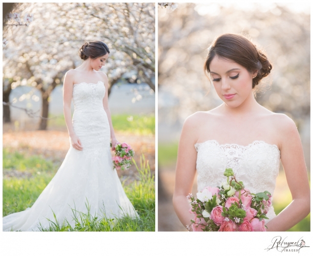 Spring bridal portraits vintage lace wedding gown blossom orchard california wedding photography