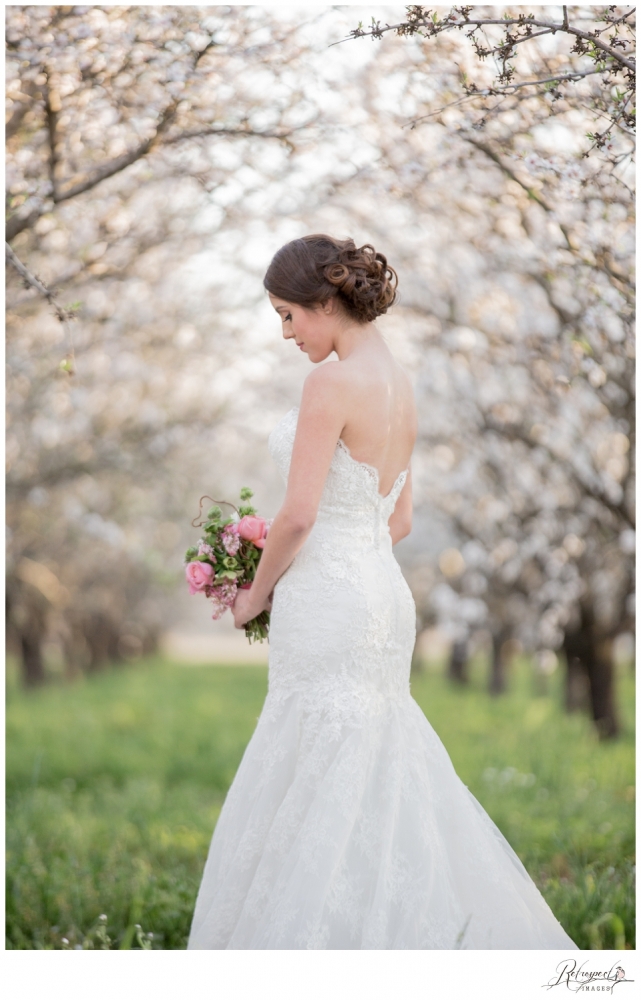 Spring bridal portraits vintage lace wedding gown blossom orchard california wedding photography