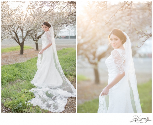 Spring bridal portraits vintage lace wedding gown blossom orchard california wedding photography