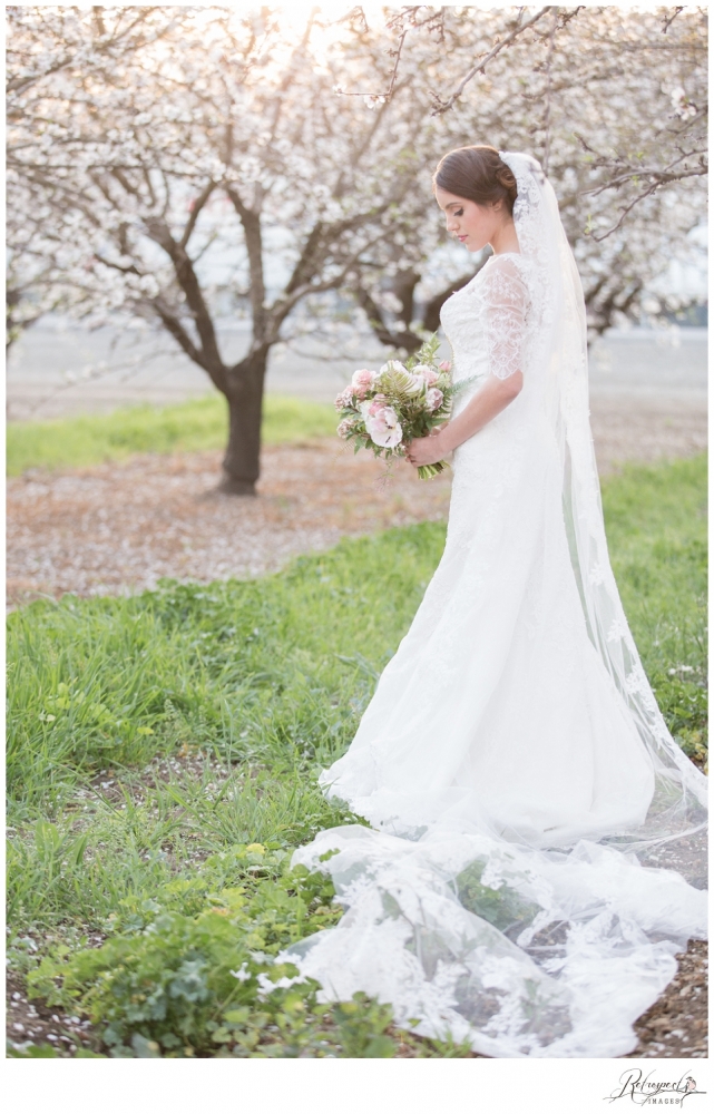 Spring bridal portraits vintage lace wedding gown blossom orchard california wedding photography