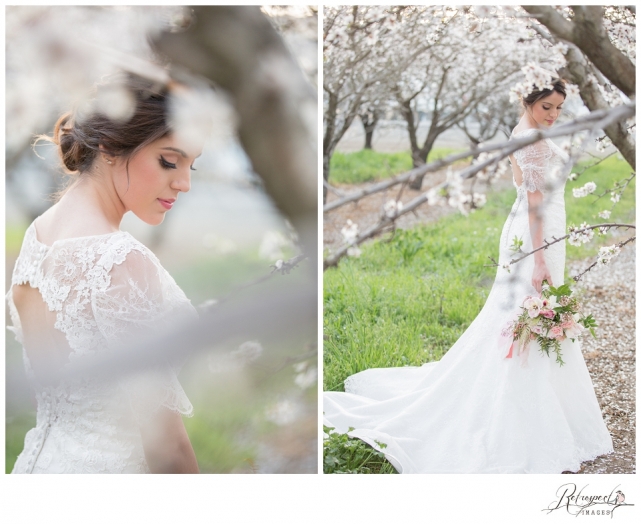 Spring bridal portraits vintage lace wedding gown blossom orchard california wedding photography