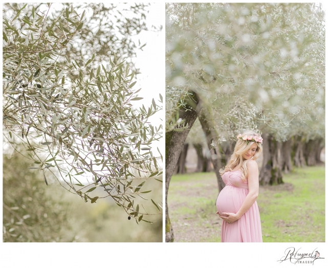 San Jose Bay Area Maternity Photography_0003.jpg