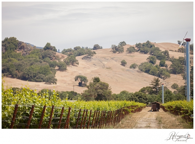 Farm Wedding Boonville California