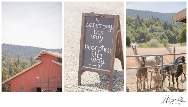 Farm Wedding Boonville California