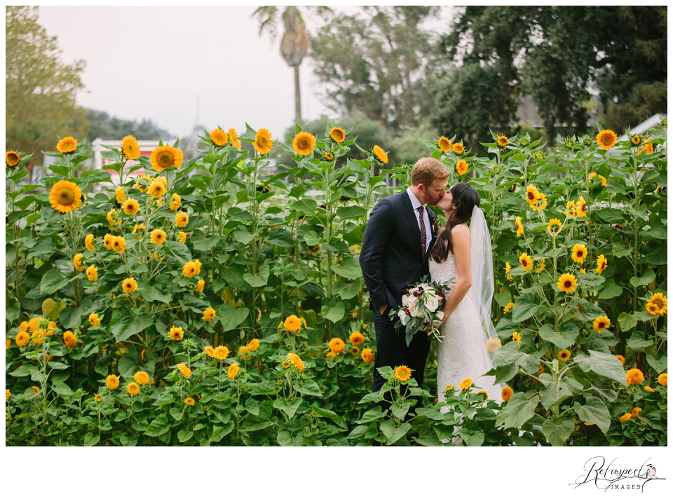 Farmstead Long Meadow Ranch Wedding, Jacqui + Kevin | St Helena Wedding ...