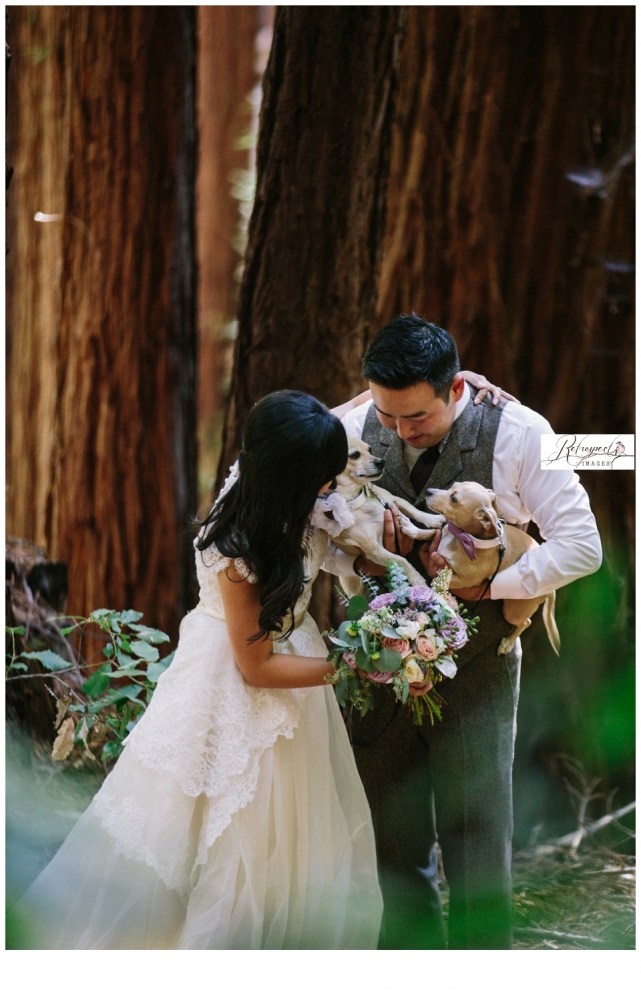 stones and flowers wedding santa cruz wedding photography woods forrest barn_1902.jpg