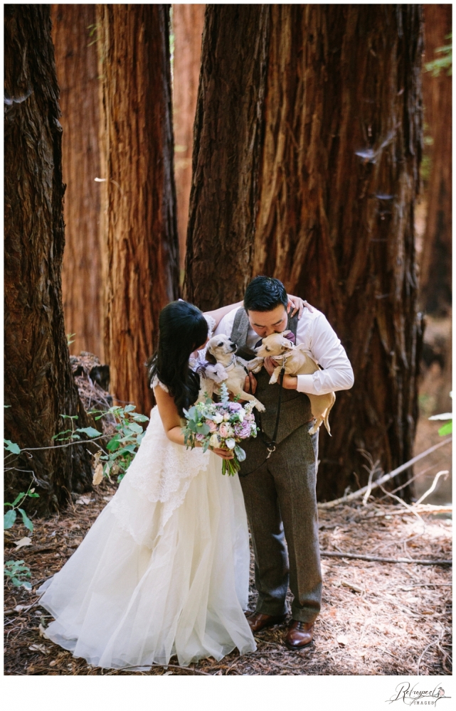 stones and flowers wedding santa cruz wedding photography woods forrest barn_1903.jpg