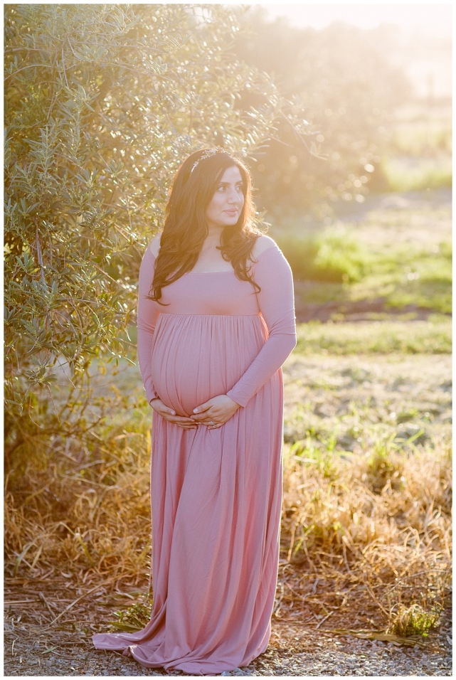 livermore maternity photography_0011.jpg
