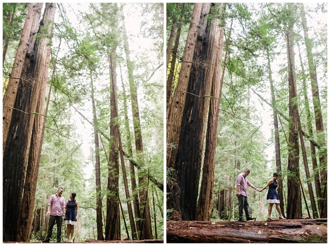 mill valley engagement photography_0001.jpg