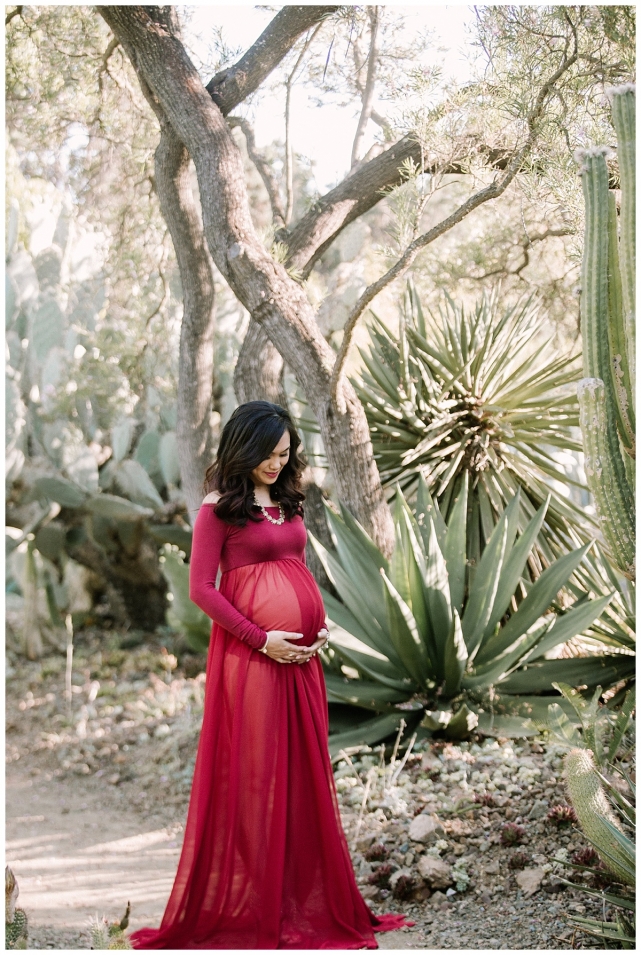 San Ramon Maternity Photography_0000.jpg