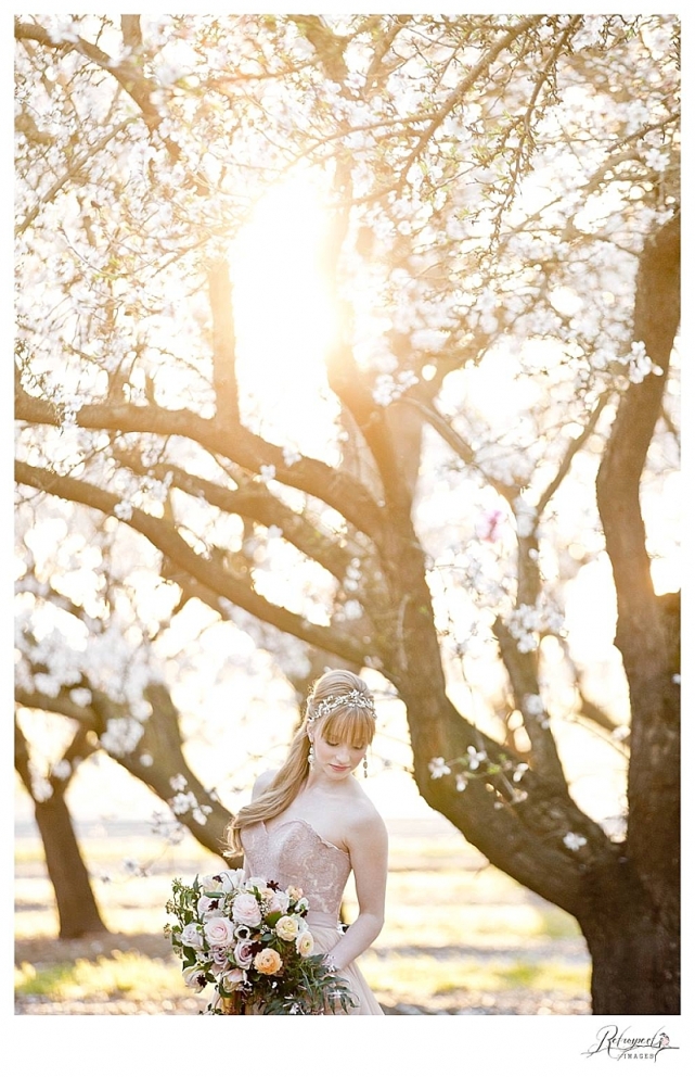 napa sonoma sacramento wedding photography almond blossom_0968.jpg