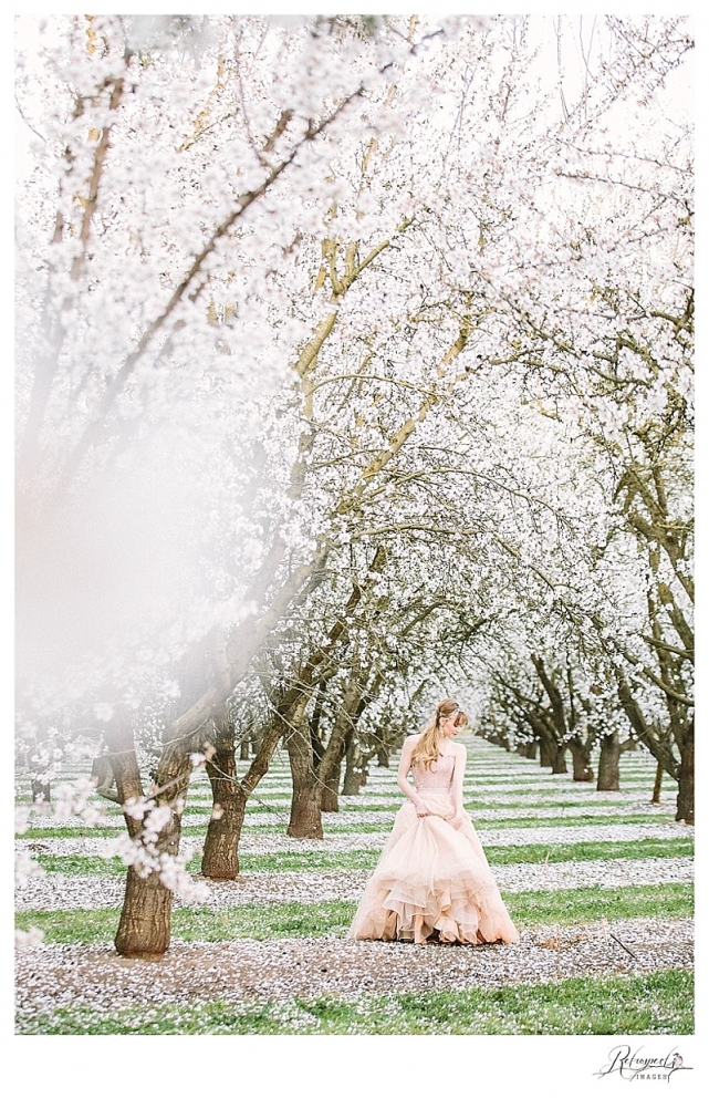 napa sonoma sacramento wedding photography almond blossom_0976.jpg