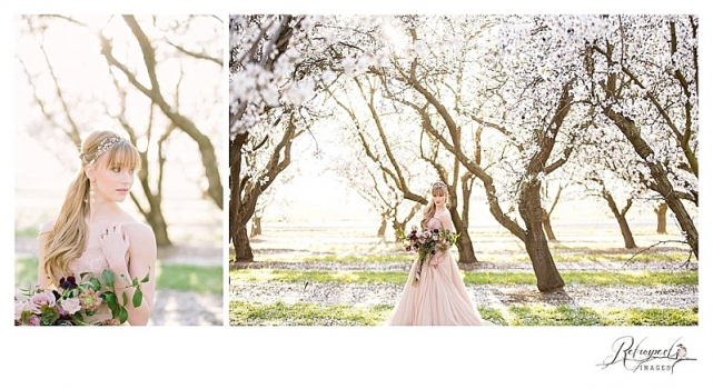 napa sonoma sacramento wedding photography almond blossom_0978.jpg