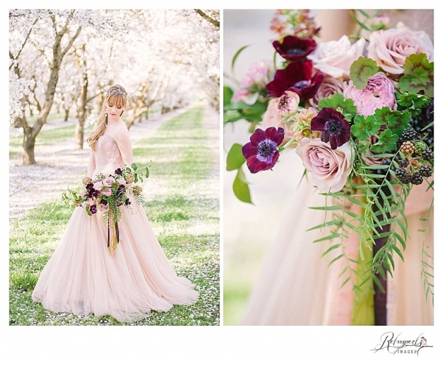 napa sonoma sacramento wedding photography almond blossom_0984.jpg